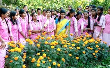  students cultivate flower to raise fund for charity work etj
