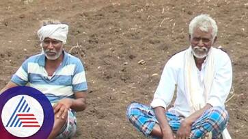 Lack of rain farmers demand that the district of chitradurga declared drought rav Lack of rain farmers demand that the district of chitradurga declared drought rav