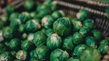 Skin-friendly vegetables: 5 unexpected benefits of Brussels Sprouts vma eai Skin-friendly vegetables: 5 unexpected benefits of Brussels Sprouts vma eai