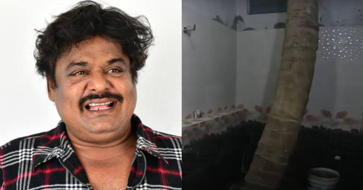 யார் சாமி இவரு... வீட்டுக்குள் 6 தென்னை மரம் வளர்க்கும் மன்சூர் அலிகான்; பாத்ரூம்லயும் ஒன்னு இருக்காம்