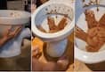 world viral news restaurant served ice cream in toilet viral video kxa 