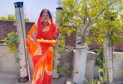 How did Bihars Sunita Devi become independent through vertical farming at her home iwh
