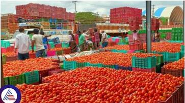 tomato price decreased in chikkaballapur district gvd tomato price decreased in chikkaballapur district gvd
