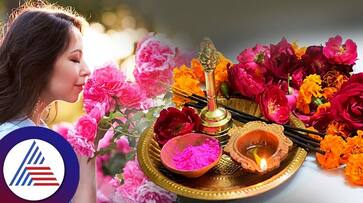 which flowers are offered to hindu god and goddess and its benefits in tamil mks which flowers are offered to hindu god and goddess and its benefits in tamil mks