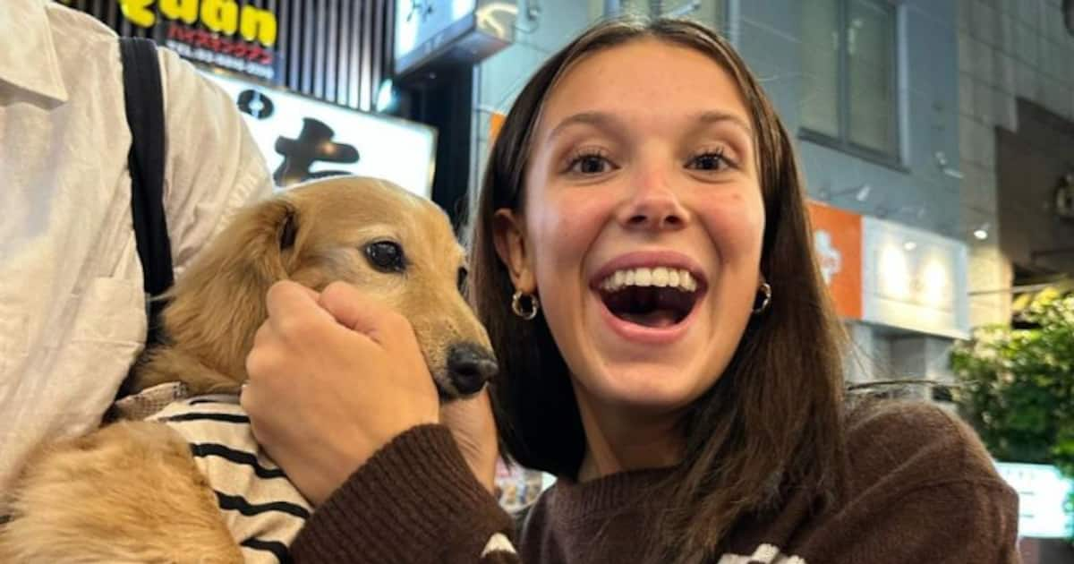 Millie Bobby Brown writes a book: Will the 'Stranger Things' actor quit ...