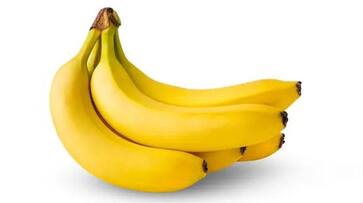 Digestion to Healthy Heart: 5 reasons why Bananas are a health friendly bounty vma eai Digestion to Healthy Heart: 5 reasons why Bananas are a health friendly bounty vma eai