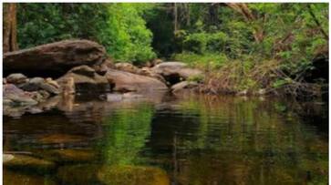 woman drowned to death in kakkad eco tourism centre kozhikode afe woman drowned to death in kakkad eco tourism centre kozhikode afe