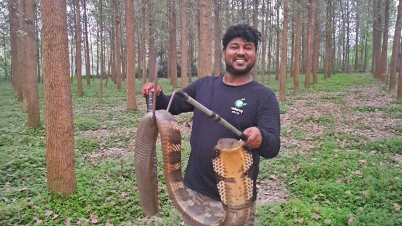 Aditya was scared to rescue a cobra the first time, now he has relocated 3000 snakes to their natural habitat iwh