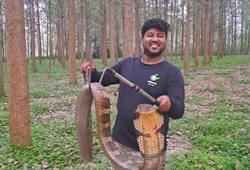 Aditya was scared to rescue a cobra the first time, now he has relocated 3000 snakes to their natural habitat iwh