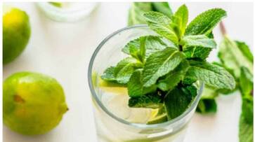healthy drink made with mint leaves easy recipe -rse- healthy drink made with mint leaves easy recipe -rse-