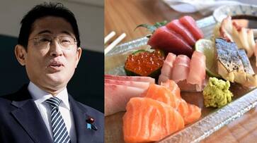 after nuclear plant wastewater discharge Japanese ministers eat Fukushima fish to show its safe etj after nuclear plant wastewater discharge Japanese ministers eat Fukushima fish to show its safe etj