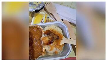 air passenger finds cockroach on Air India meal prm air passenger finds cockroach on Air India meal prm