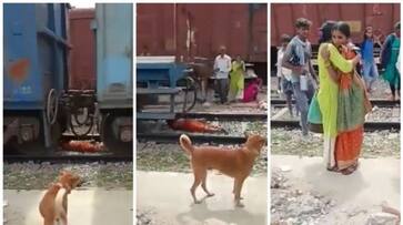 video of the woman lying between the running goods train has gone viral bkg video of the woman lying between the running goods train has gone viral bkg