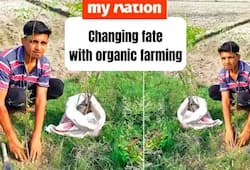 Skipping the dream of joining the army Sarvesh is now a farmer and grows his crops organically iwh
