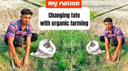 Skipping the dream of joining the army Sarvesh is now a farmer and grows his crops organically iwh