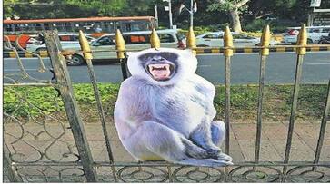 New Delhi municipal council take steps to control monkeys ahead of G20 meeting smp New Delhi municipal council take steps to control monkeys ahead of G20 meeting smp