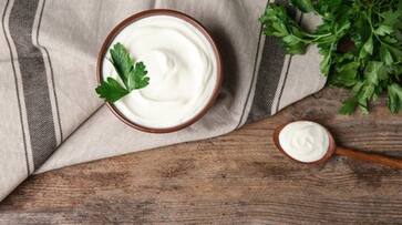5 Healthy Alternatives to Curd for Health vma eai 5 Healthy Alternatives to Curd for Health vma eai