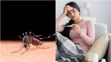 Increasing dengue spread in Singapore! A call to immediate action dee Increasing dengue spread in Singapore! A call to immediate action dee