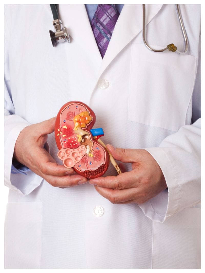 врач нефролог. нефролог беременности. медицина урология. врач по заболеваниям почек. урология и нефрология.