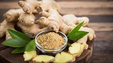 ginger health benefits rsl ginger health benefits rsl