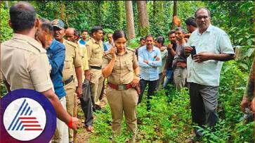 wild elephant attacked a man dies at spot in mudigere at chikkamagaluru rav wild elephant attacked a man dies at spot in mudigere at chikkamagaluru rav