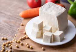 Tofu vs Paneer Which one is the better choice for weight loss iwh