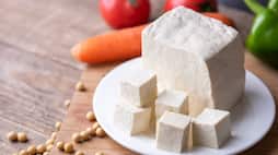Tofu vs Paneer Which one is the better choice for weight loss iwh