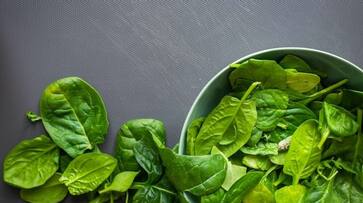 5 incredible Hair friendly foods that can aid in growth of shiny locks vma eai 5 incredible Hair friendly foods that can aid in growth of shiny locks vma eai