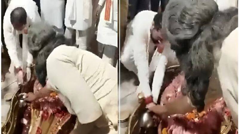 UP Minister faces flak over washing hands in Shivling Argha: video goes viral-rag