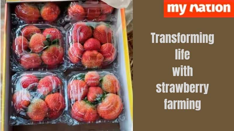 How did Satyendra Verma change his life by becoming a strawberry farmer iwh