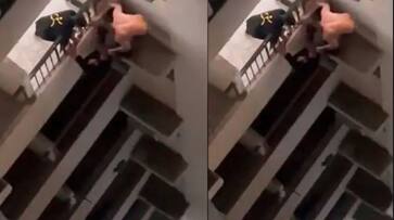 A terrifying video of two drunk men creating a ruckus at a Noida housing society has gone viral on social media akb A terrifying video of two drunk men creating a ruckus at a Noida housing society has gone viral on social media akb