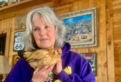 know about world oldest chicken make a guinness world records viral video kxa 