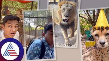 The lion urinated on Dr Bros body the video of which went viral The lion urinated on Dr Bros body the video of which went viral