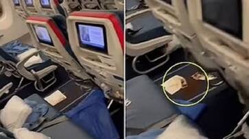Viral Video shows Delta flight makes U turn over diarrhoea incident san Viral Video shows Delta flight makes U turn over diarrhoea incident san