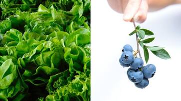 Leafy Greens to Berries: 10 superfoods for Weight Loss ATG EAI Leafy Greens to Berries: 10 superfoods for Weight Loss ATG EAI