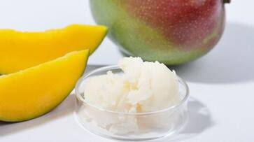 Skin bounty: 5 astonishing benefits of Mango Butter to increase suppleness vma eai Skin bounty: 5 astonishing benefits of Mango Butter to increase suppleness vma eai