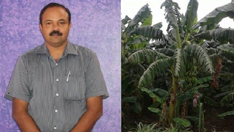 Engineering to Farming Reaping profits in crores from modern farming techniques iwh