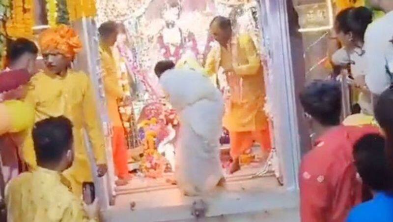Drunk Rani Of Panna Royal Family Creates Ruckus At Temple During Janmashtami Celebrations:video goes viral-rag