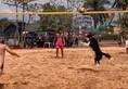 Dog playing volleyball With Human people shocked to see viral video zrua