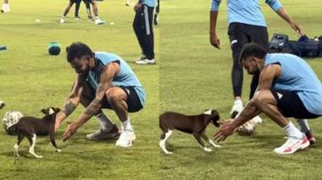 Virat Kohli Played with puppy at Colombo ahead of IND vs PAK Super Fours in Asia Cup 2023 rsk Virat Kohli Played with puppy at Colombo ahead of IND vs PAK Super Fours in Asia Cup 2023 rsk
