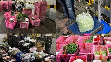 Malaysia to Singapore! 1600 kg of vegetables brought without permission were confiscated dee Malaysia to Singapore! 1600 kg of vegetables brought without permission were confiscated dee