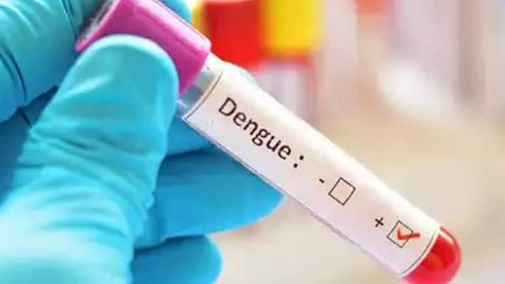 Dengue in India: Know challenges and concerns about mosquito-borne viral disease RBA