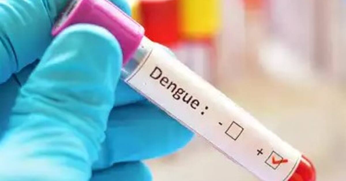  காவு வாங்கும் டெங்கு.. பள்ளி மாணவன் உயிரிழப்பால் அலறும் பொதுமக்கள்..!