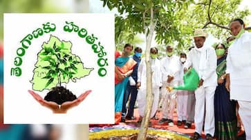 HarithaHaram is giving amazing results in forest restoration: CM KCR RMA HarithaHaram is giving amazing results in forest restoration: CM KCR RMA