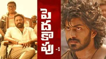 Why Srikanth Addala turn villan for Peddha Kapu movie jsp Why Srikanth Addala turn villan for Peddha Kapu movie jsp