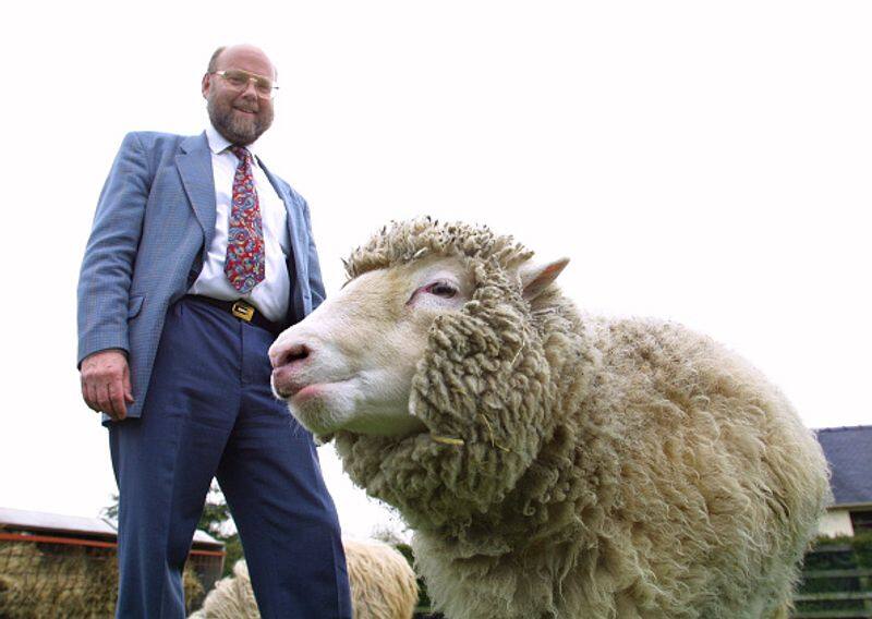 Ian Wilmut creator of the first cloned sheep Dolly has died bkg