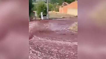 Shocking 2.2 million litres of red wine flows through Portugal town; here's what happened - WATCH snt Shocking 2.2 million litres of red wine flows through Portugal town; here's what happened - WATCH snt