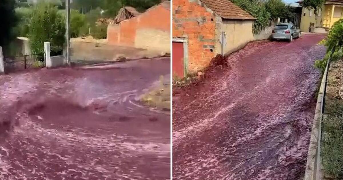 வெள்ளம் போல சாலைகளில் பாய்ந்து ஓடிய 22 லட்சம் லிட்டர் ஒயின்! போர்ச்சுகலில் நடந்தது என்ன?