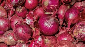 Onion Price Increased in Karnataka grg Onion Price Increased in Karnataka grg