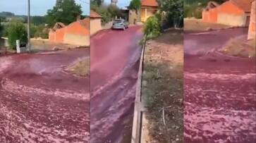 2.2 million capacity wine tank bursted in Portugals Sao Lourenco de Bairo city roads turned river of wine video goes viral akb 2.2 million capacity wine tank bursted in Portugals Sao Lourenco de Bairo city roads turned river of wine video goes viral akb